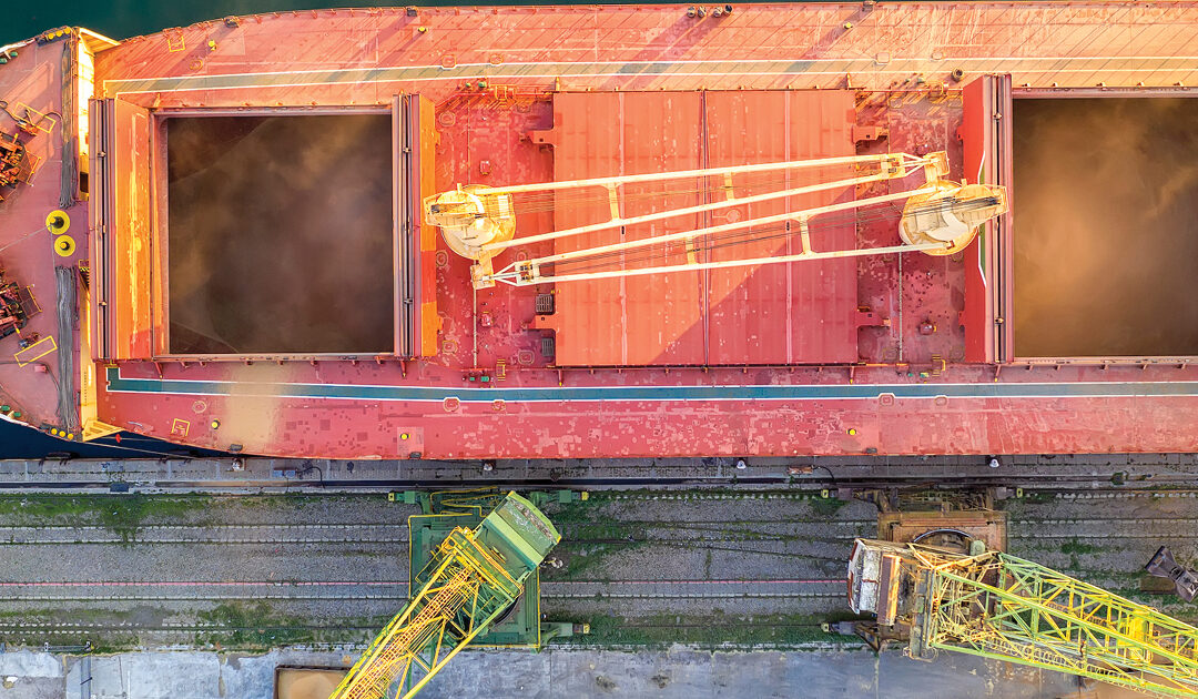 Whatever floats your boat. Episode 3