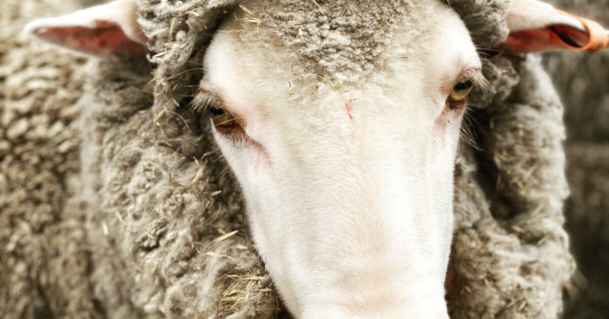 Testing Week Episode 3