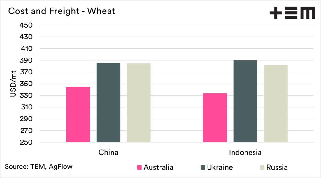Cheapest grain in the world Episode 3